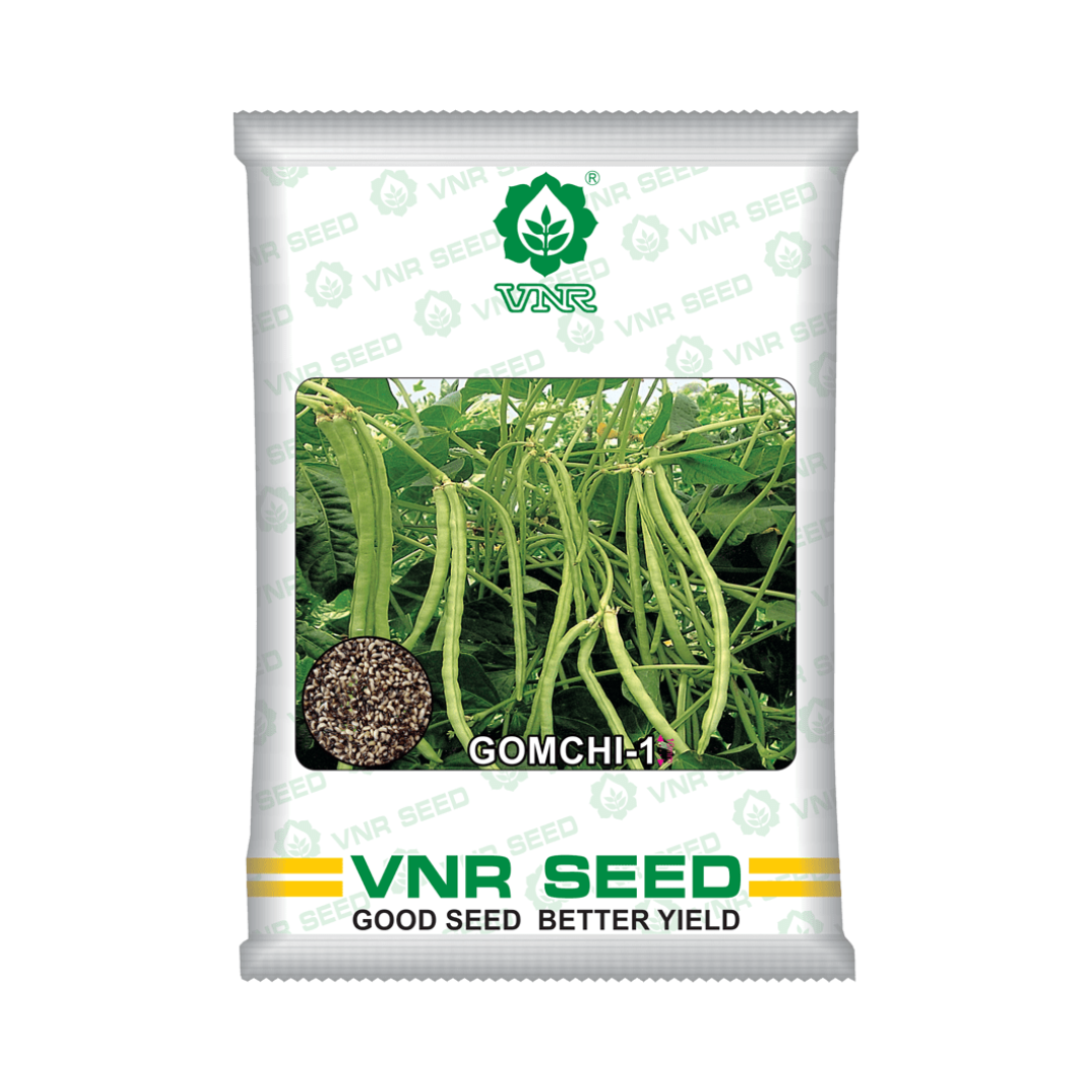 Gomchi-1 Cowpea Seeds - VNR | F1 Hybrid | Buy Online at Best Price Now