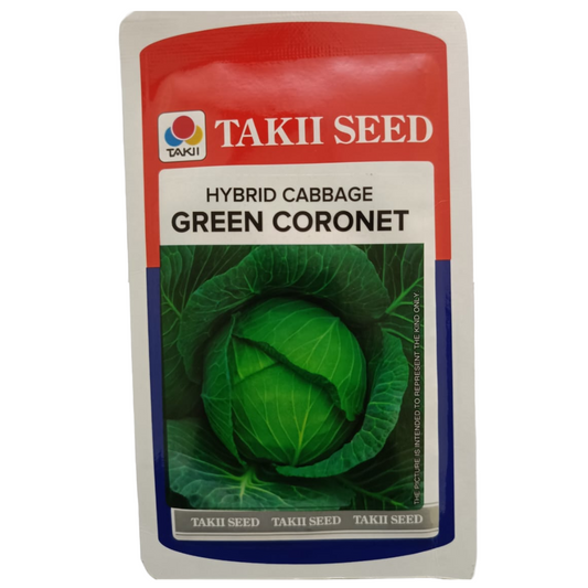 Green Coronet Cabbage Seeds  | Buy Online At Best Price