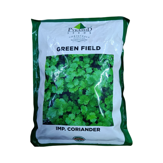 Green Field Coriander Seeds