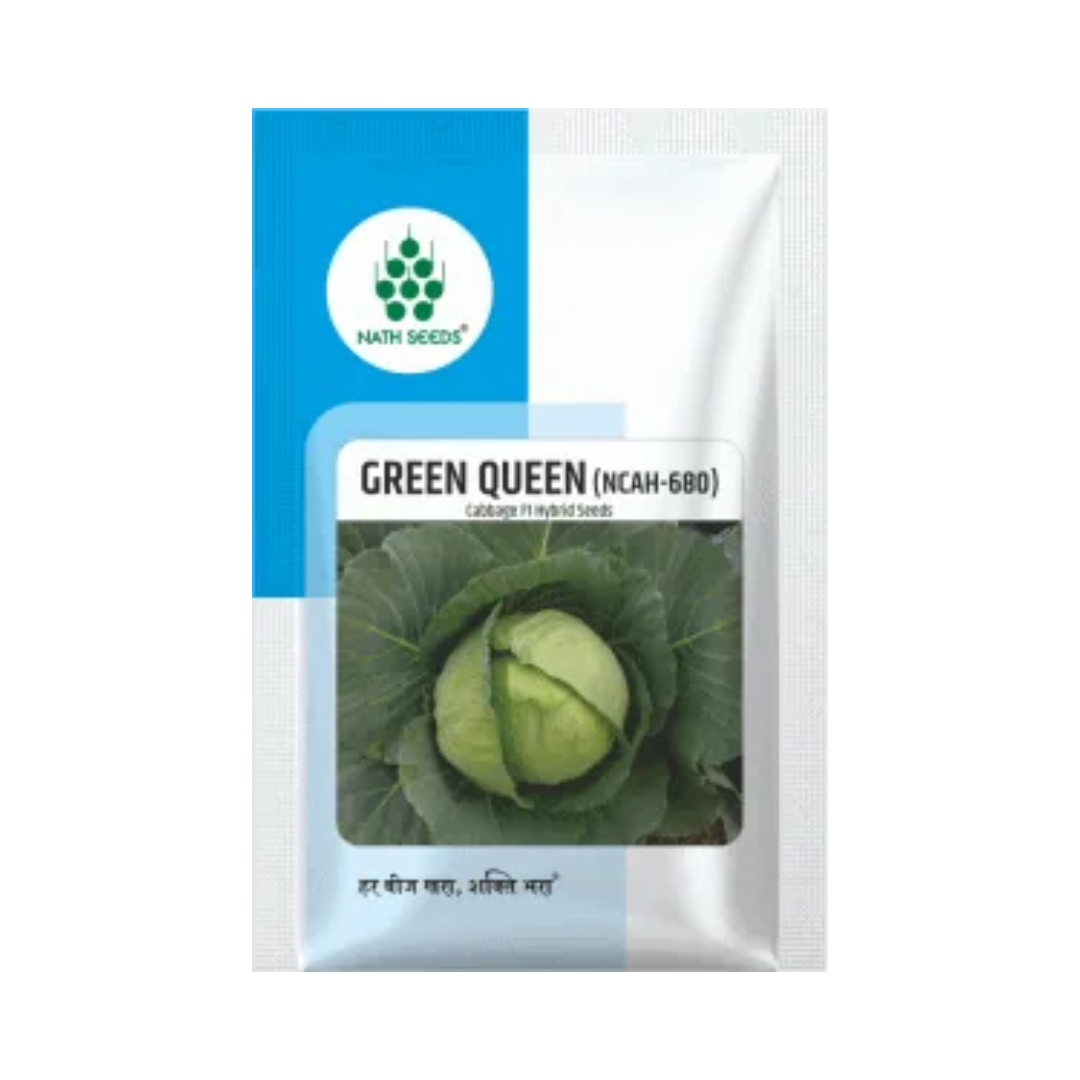 Green Queen (NCAH-680) Cabbage Seeds