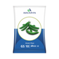 GS-10 Pea Seeds - Advanta | F1 Hybrid | Buy Online - DesiKheti