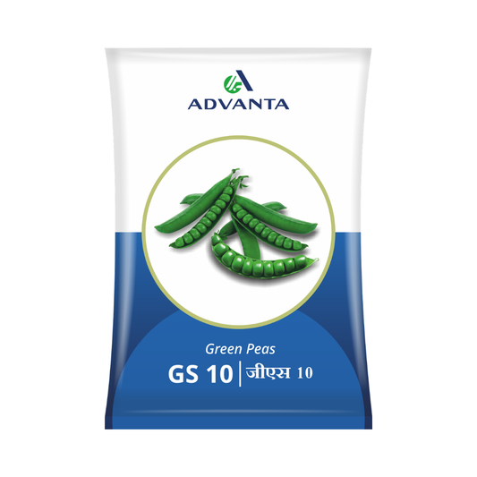 GS-10 Pea Seeds - Advanta | F1 Hybrid | Buy Online - DesiKheti