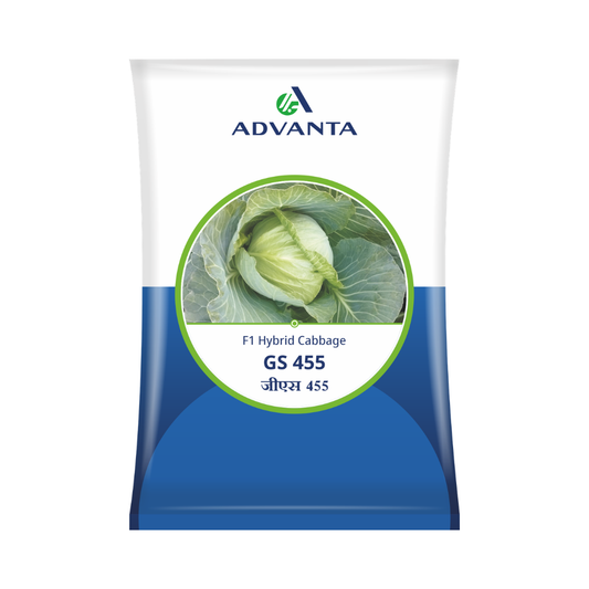 GS 455 Cabbage Seeds - Advanta | F1 Hybrid | Buy Online at Best Price
