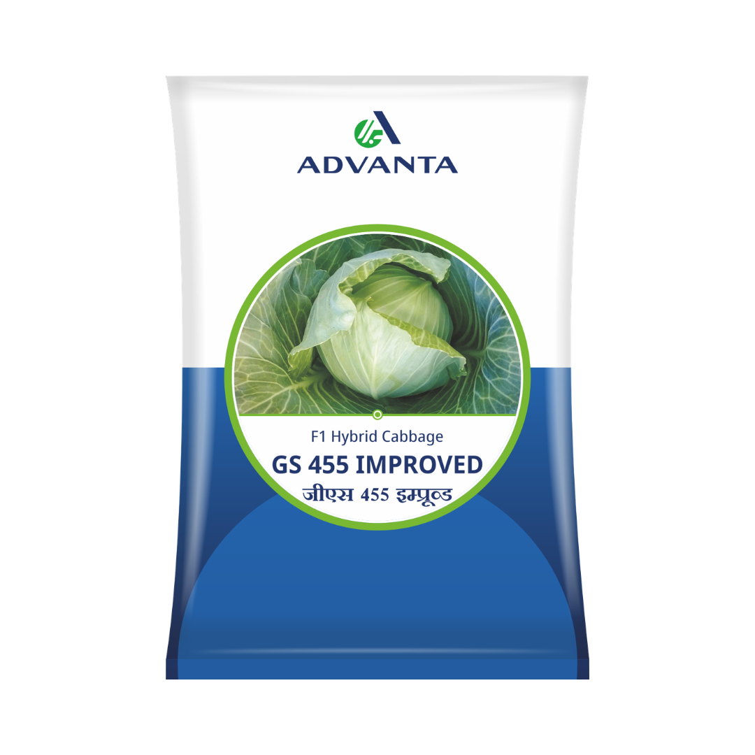 GS 455 Improved Cabbage Seeds - Advanta | F1 Hybrid | Buy Online at Best Price
