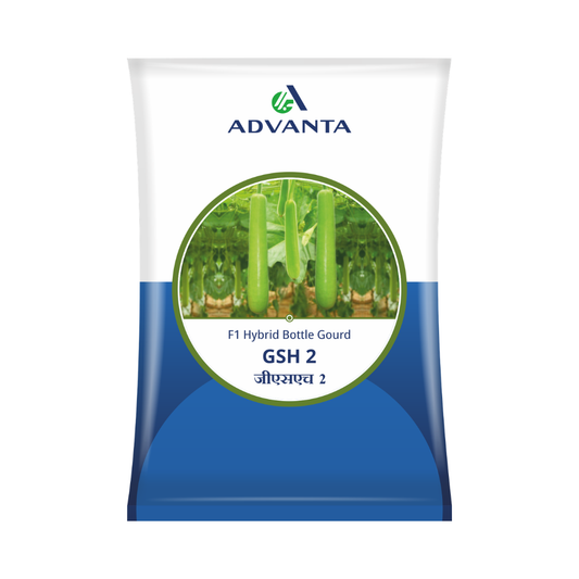 GSH-2 Bottle Gourd Seeds - Advanta | F1 Hybrid | Buy Online at Best Price