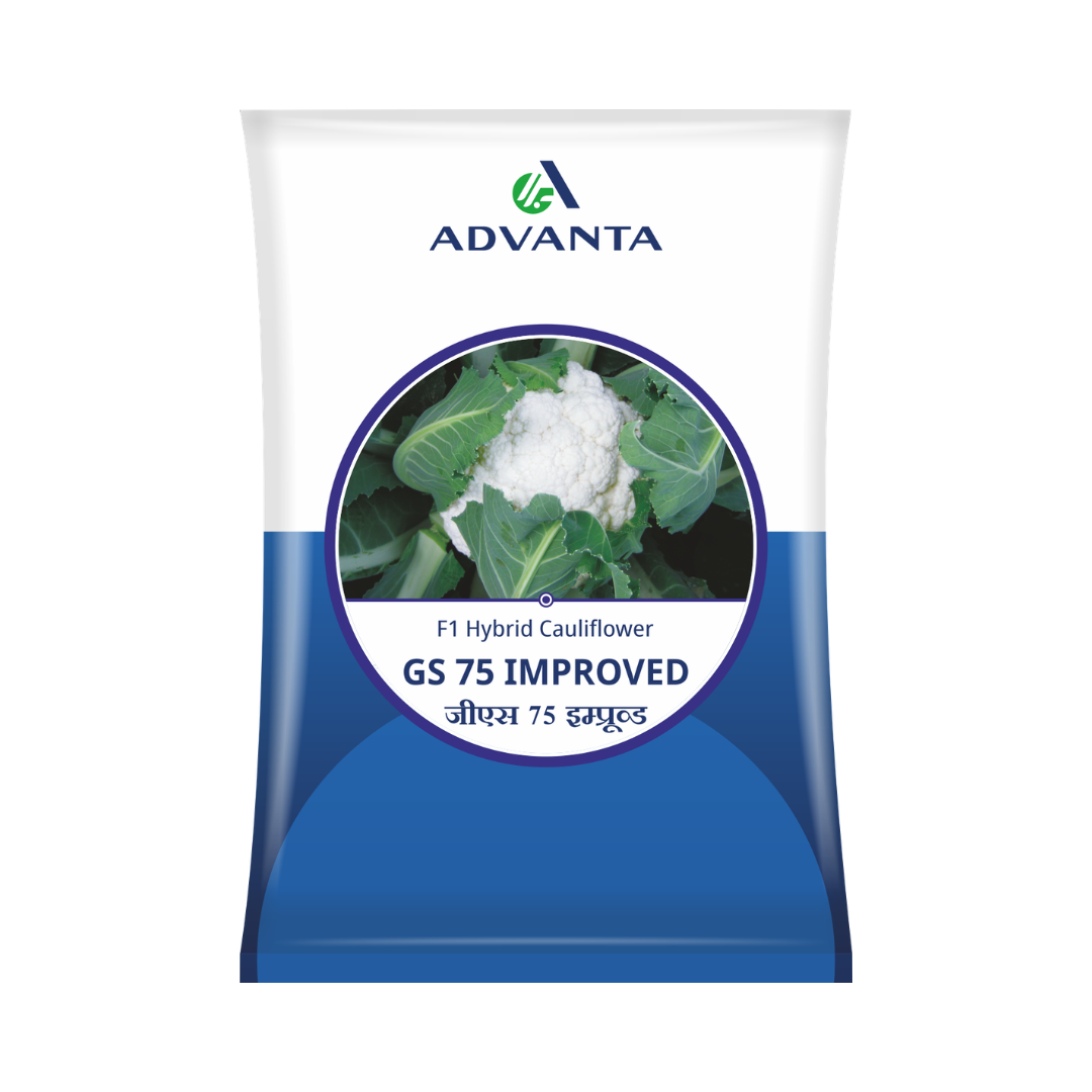 GS-75 Improved Cauliflower Seeds - Advanta | F1 Hybrid | Buy Online at Best Price