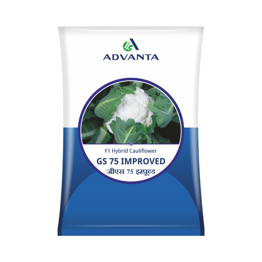 GS-75 Improved Cauliflower Seeds - Advanta | F1 Hybrid | Buy Online at Best Price