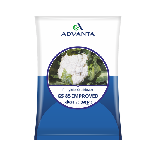 GS 85 Improved Cauliflower Seeds - Advanta | F1 Hybrid | Buy Online at Best Price