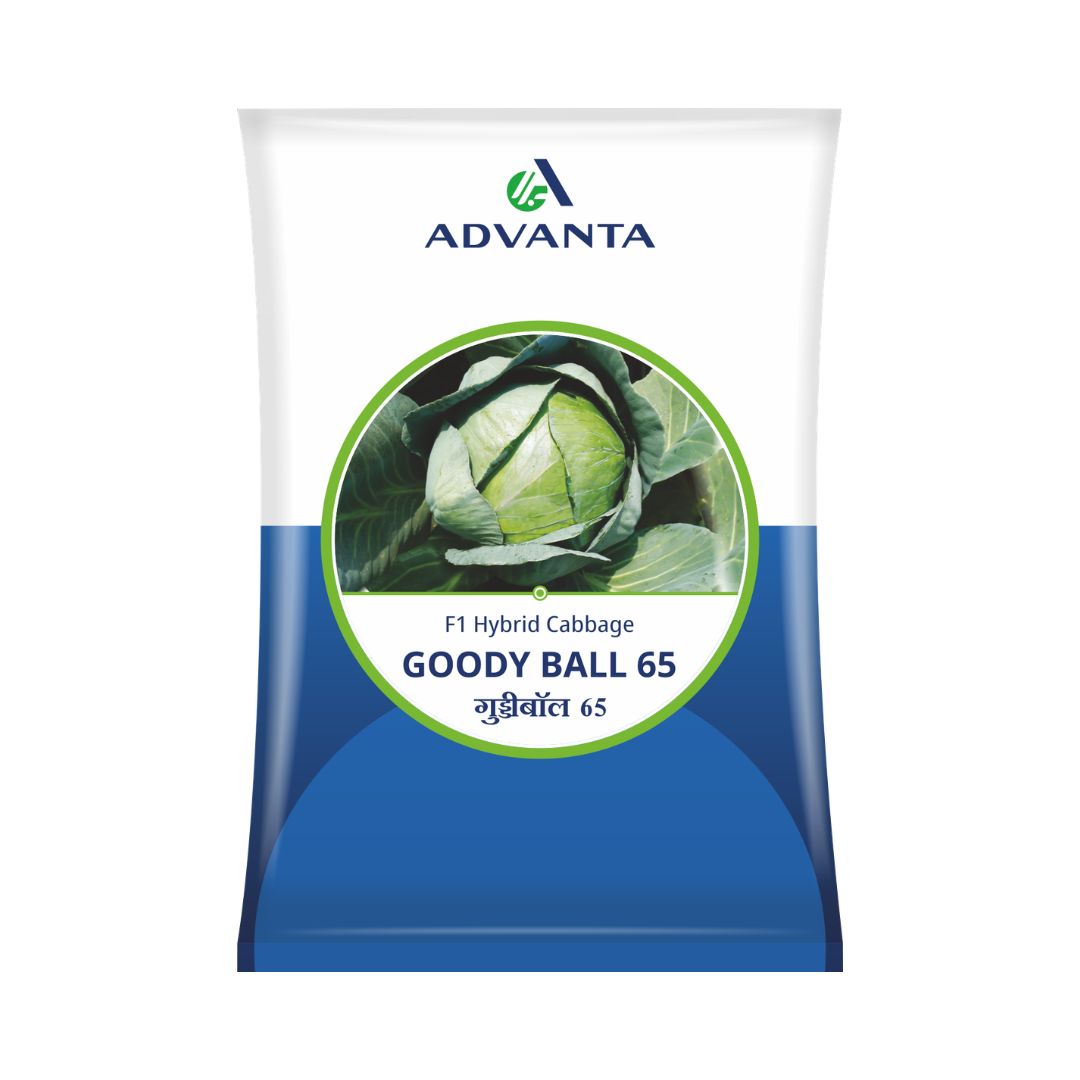 Goody Ball 65 Cabbage Seeds - Advanta | F1 Hybrid | Buy Online at Best Price