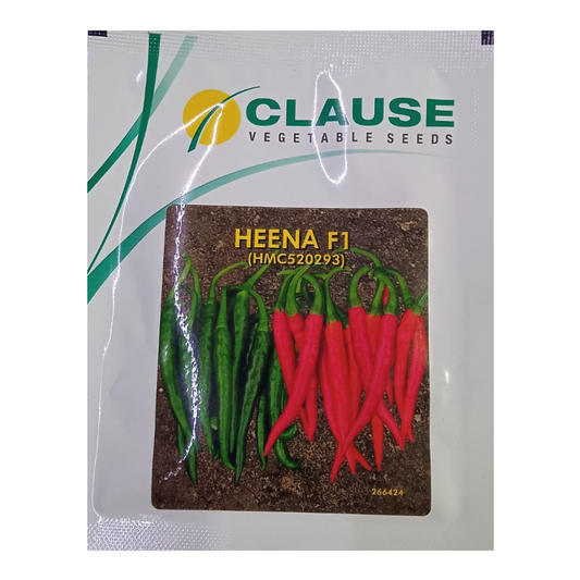 Heena Chilli Seeds