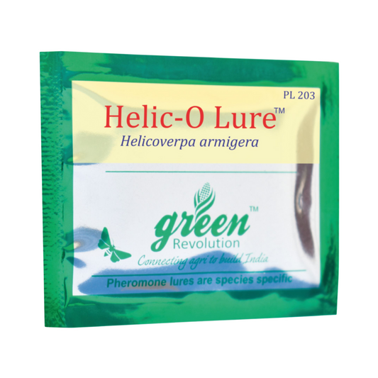Helic-O Lure Helicoverpa armigera (Pack of 10) - Green Revolution
