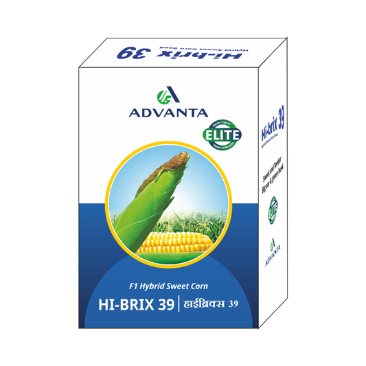 Hi-Brix 39 Sweet Corn Seeds - Advanta | F1 Hybrid | Buy Online Now