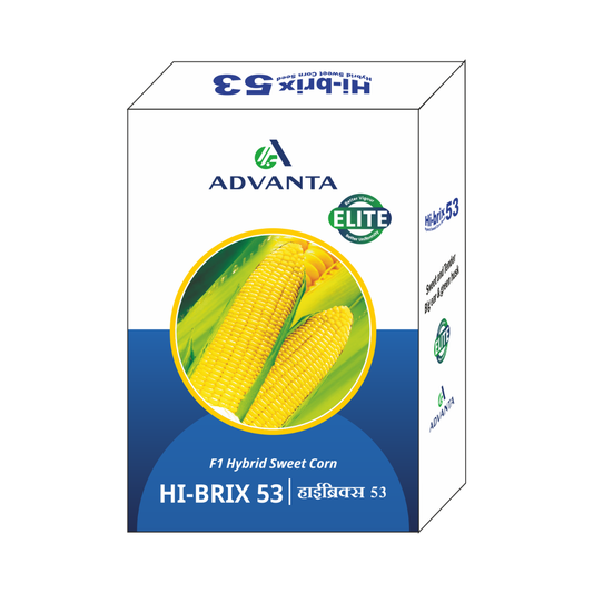 Hi-Brix 53 Sweet Corn Seeds - Advanta | F1 Hybrid | Buy Online Now