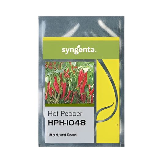 HPH 1048 Chilli Seeds - Syngenta | F1 Hybrid | Buy Online at Best Price
