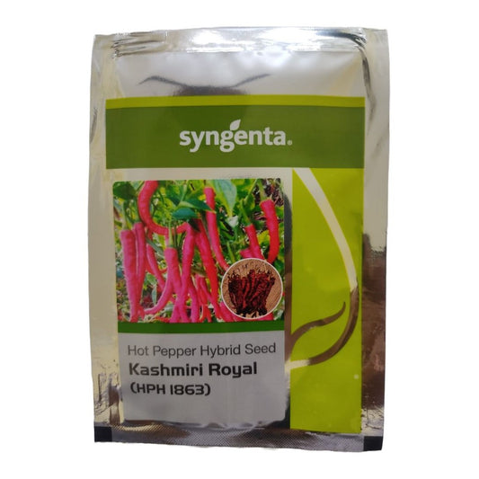 Prahaar (HPH 121) Chilli Seeds - Syngenta | F1 Hybrid | Buy Online at Best Price
