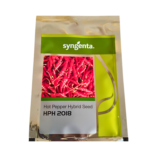HPH 2018 Chilli Seeds - Syngenta | F1 Hybrid | Buy Online at Best Price