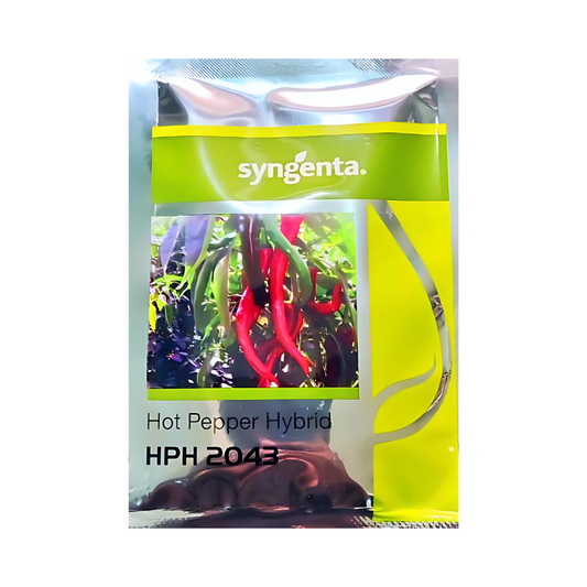 HPH-2043 Chilli Seeds -Syngenta | F1 Hybrid | Buy Online at Best Price