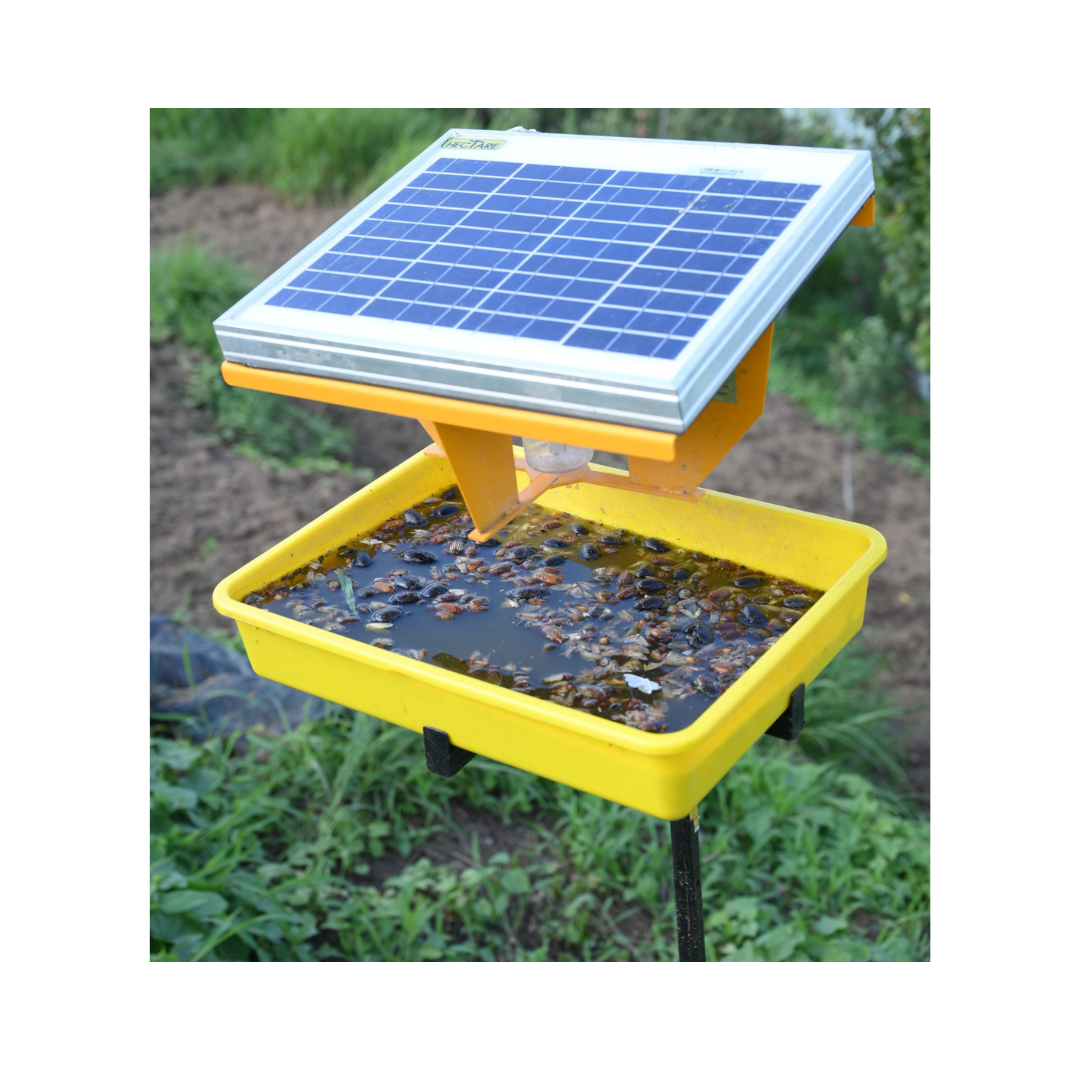 Hectare Solar Insect Trap | Buy Online at Best Price - DesiKheti ...