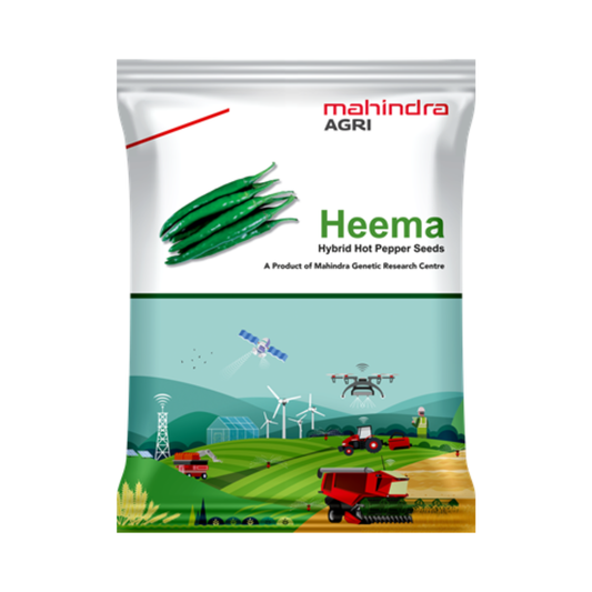 Heema Chilli Seeds - Mahindra Agri | F1 Hybrid | Buy Online at Best Price