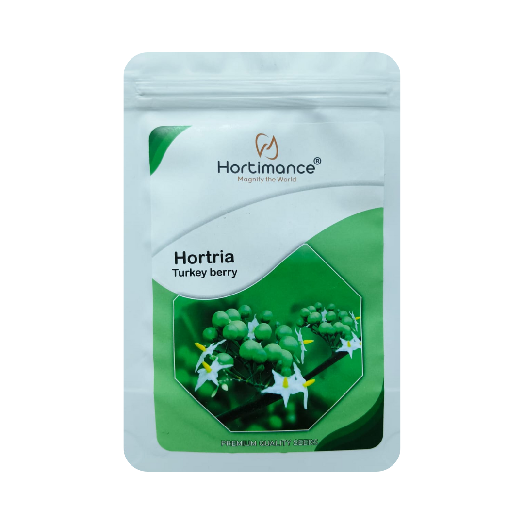 Hortria Turkey Berry Seeds