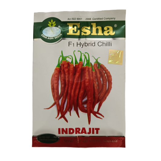 Indrajit Chilli Seeds | Buy Online At Best Price