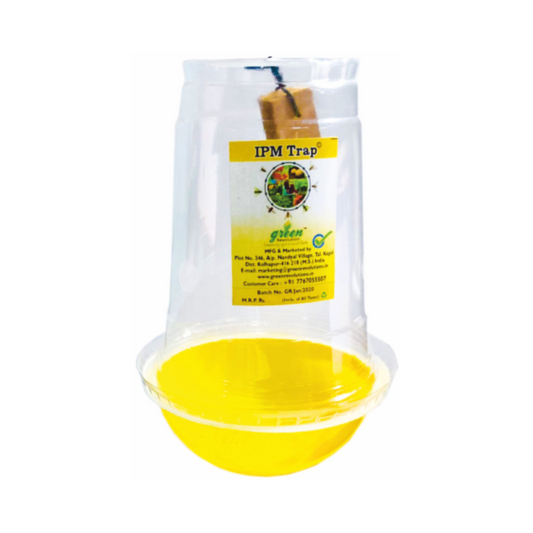 IPM Trap / Fruit Fly Trap (pack of 10) - Green Revolution | Buy Online
