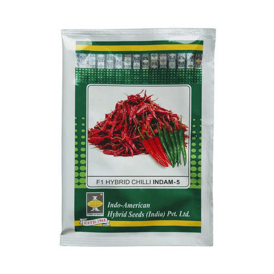 Indam 5 Chilli Seeds - Indo American | F1 Hybrid | Buy Online at Best Price