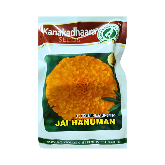 Jai Hanuman Marigold Seeds - Kanakadhaara Seeds | F1 Hybrid | Buy Now