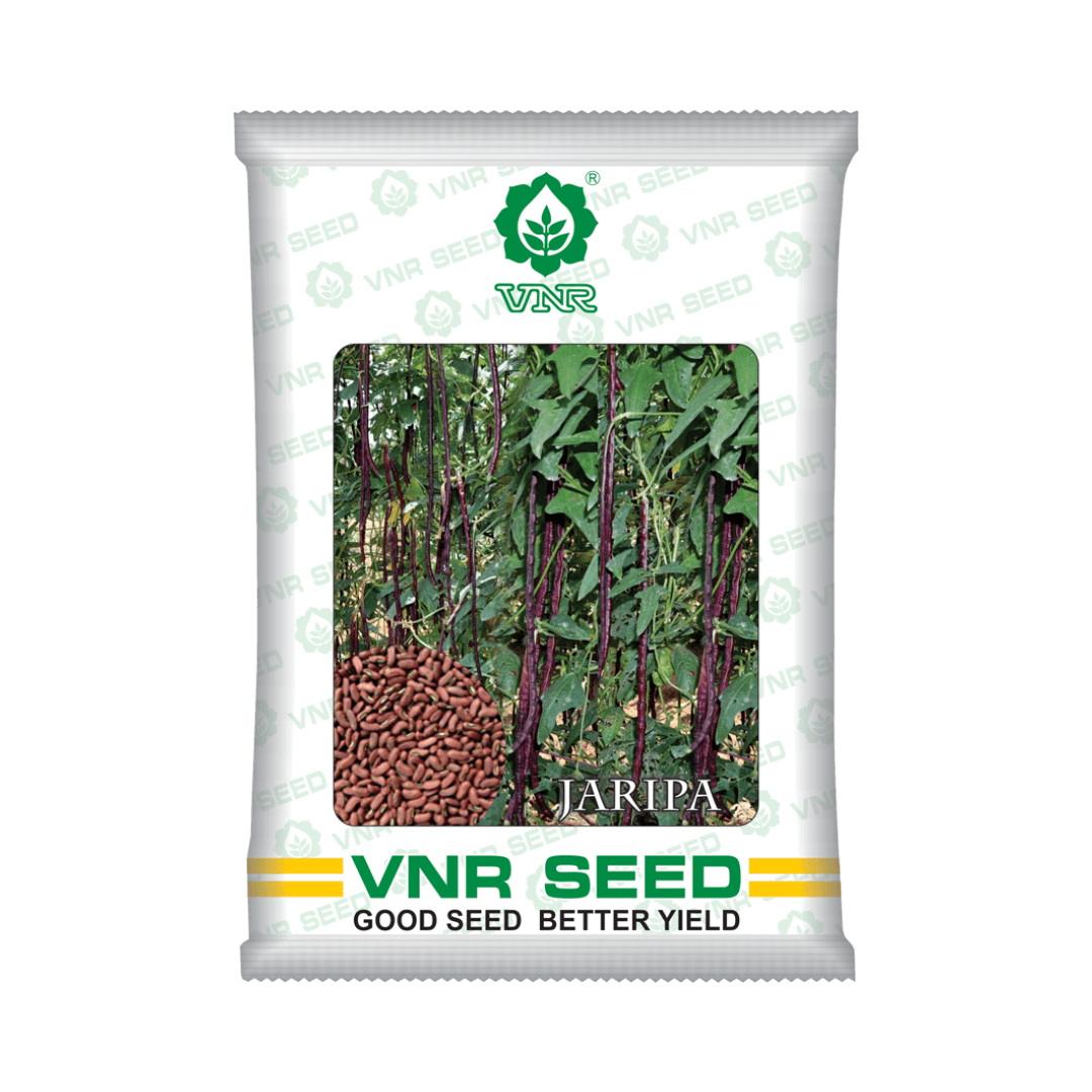 Jaripa Cowpea Seeds - VNR | F1 Hybrid | Buy Online at Best Price Now