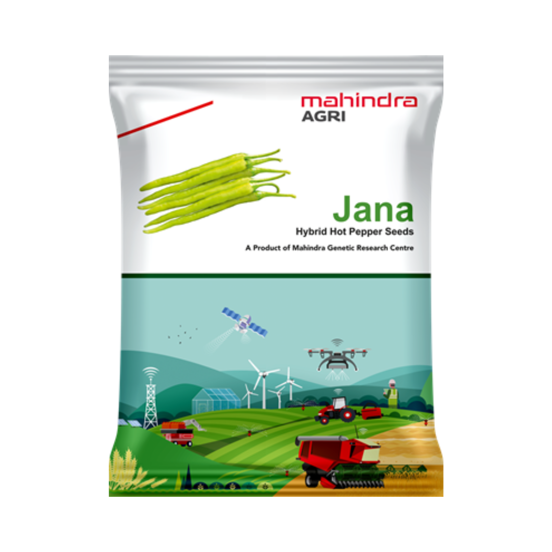 Jana Chilli Seeds - Mahindra Agri | F1 Hybrid | Buy Online at Best Price