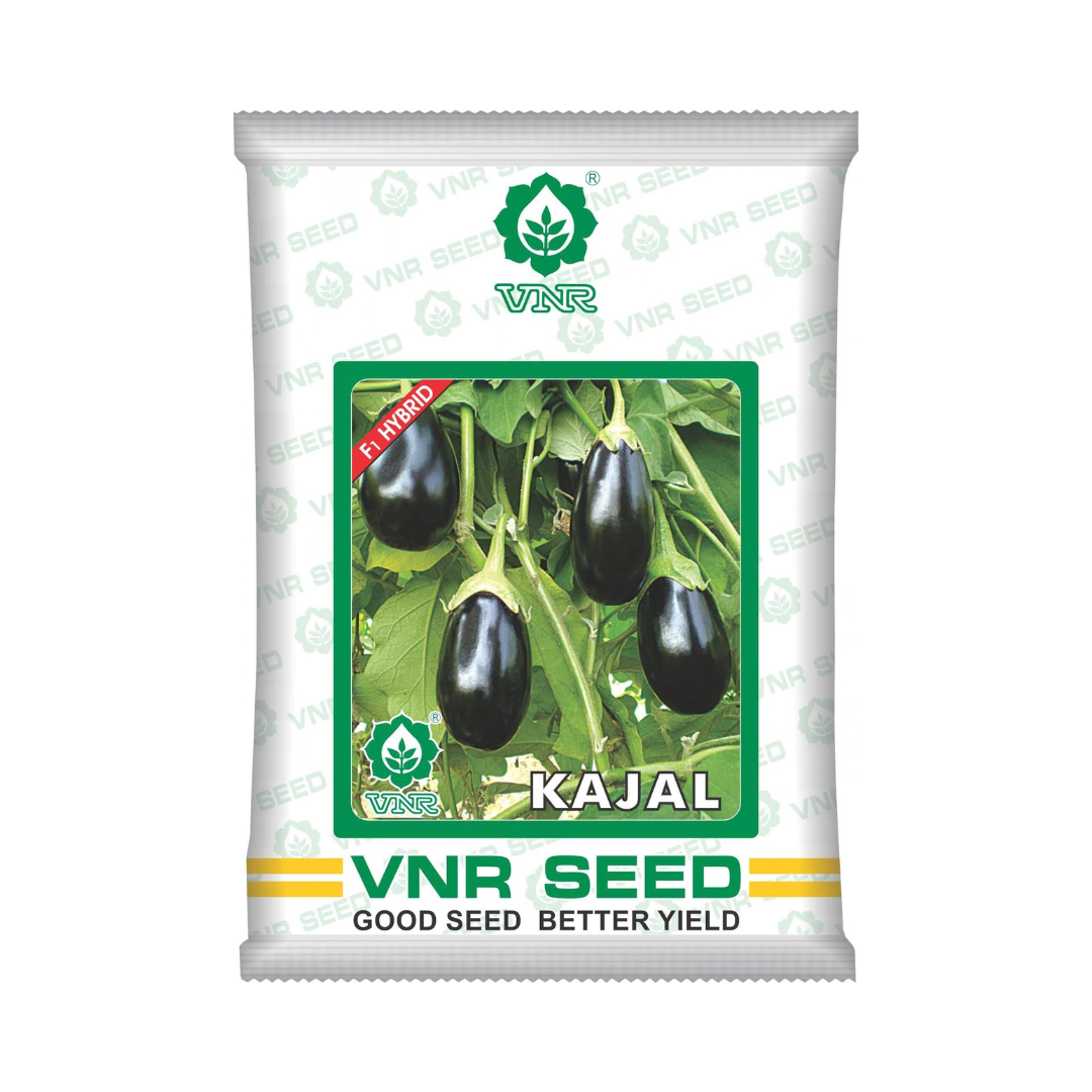 Kajal Brinjal Seeds - VNR | F1 Hybrid | Buy Online at Best Price