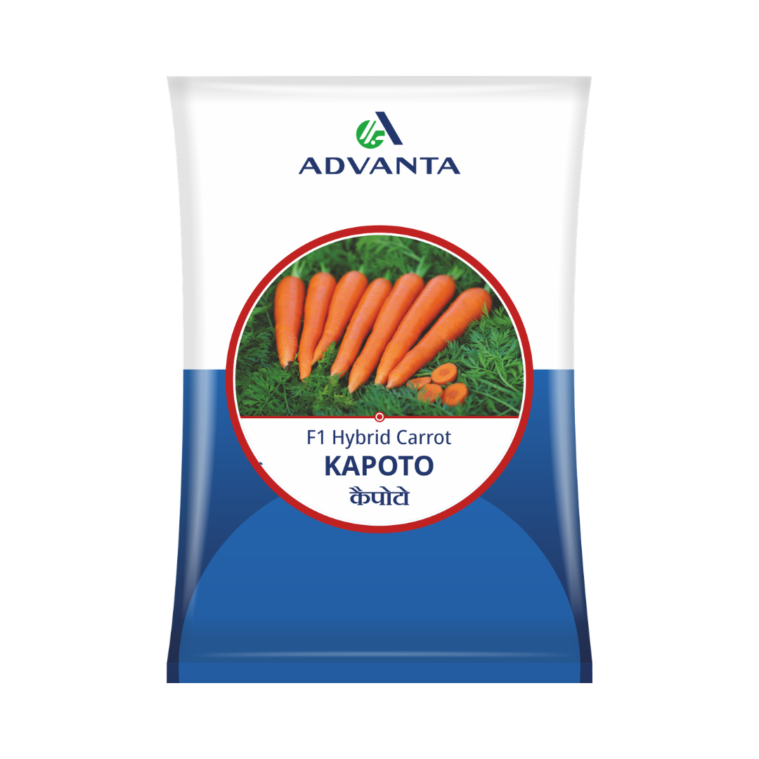 Kapoto Carrot Seeds - Advanta | F1 Hybrid | Buy Online at Best Price