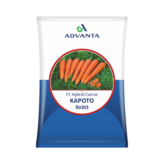 Kapoto Carrot Seeds - Advanta | F1 Hybrid | Buy Online at Best Price