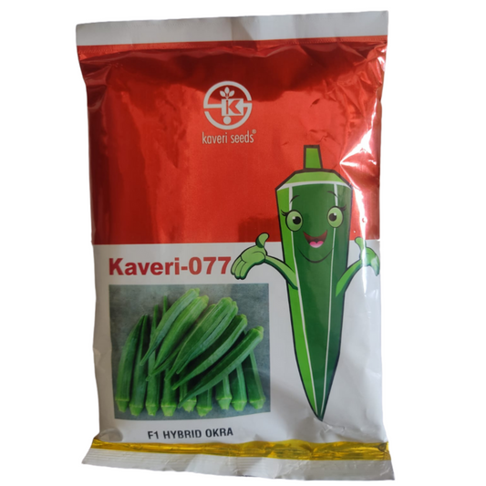 Kaveri - 077 Bhendi Seeds | F1 Hybrid | Buy Online at Best Price