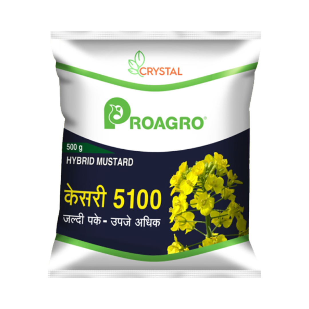 Kesari 5100 Mustard Seeds - Crystal | F1 Hybrid | Buy Online at Best Price