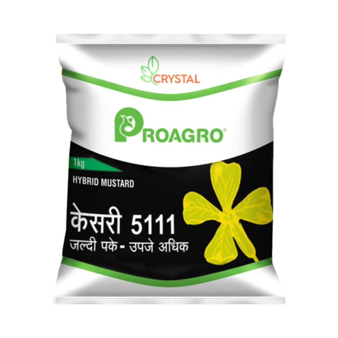 Kesari 5111 Mustard Seeds - Crystal | F1 Hybrid | Buy Online at Best Price