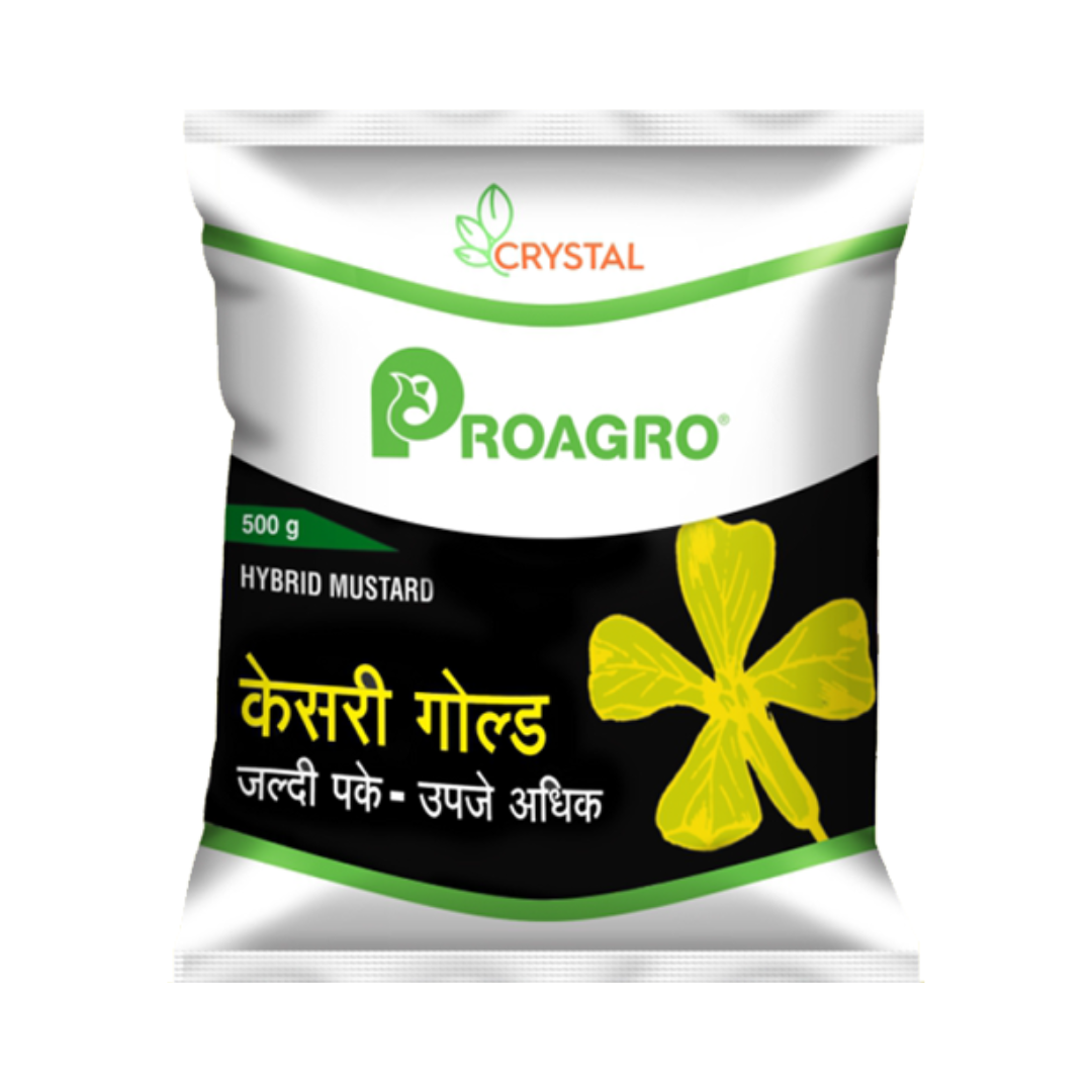 Kesari Gold Mustard Seeds - Crystal | F1 Hybrid | Buy Online at Best Price