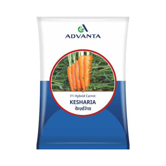 Kesharia Carrot Seeds - Advanta | F1 Hybrid | Buy Online at Best Price