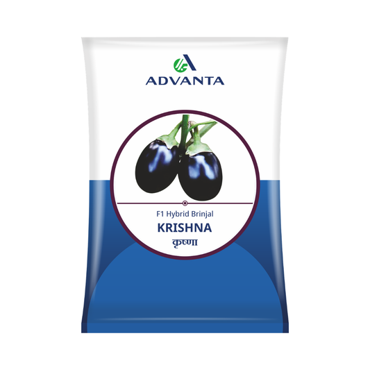 Krishna Brinjal Seeds - Advanta | F1 Hybrid | Buy Online at Best Price