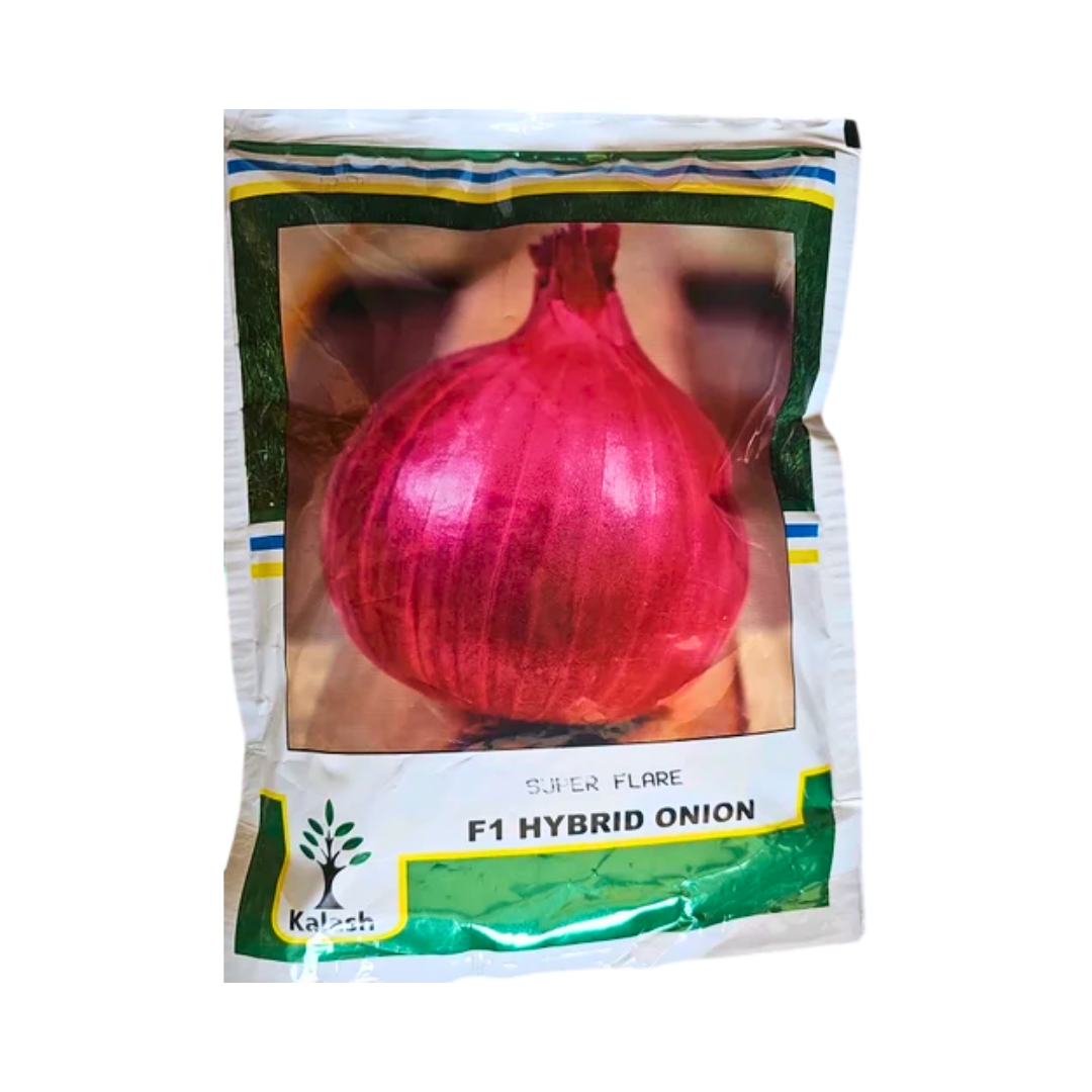 KSP 1118 Super Flare Onion Seeds - Kalash | F1 Hybrid | Buy Online Now - Desikheti