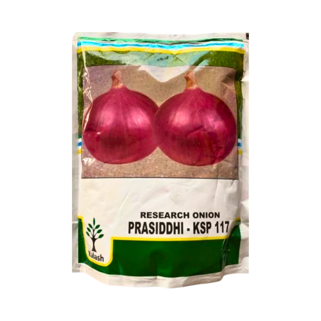 KSP 117 Prasidhi Onion Seeds - Kalash | F1 Hybrid | Buy Online Now - Desikheti