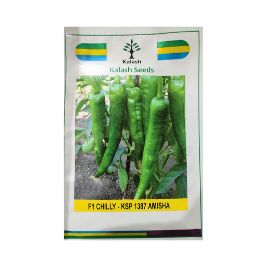 KSP 1387 Amisha Chilli Seeds - Kalash | F1 Hybrid | Buy Online at Best Price