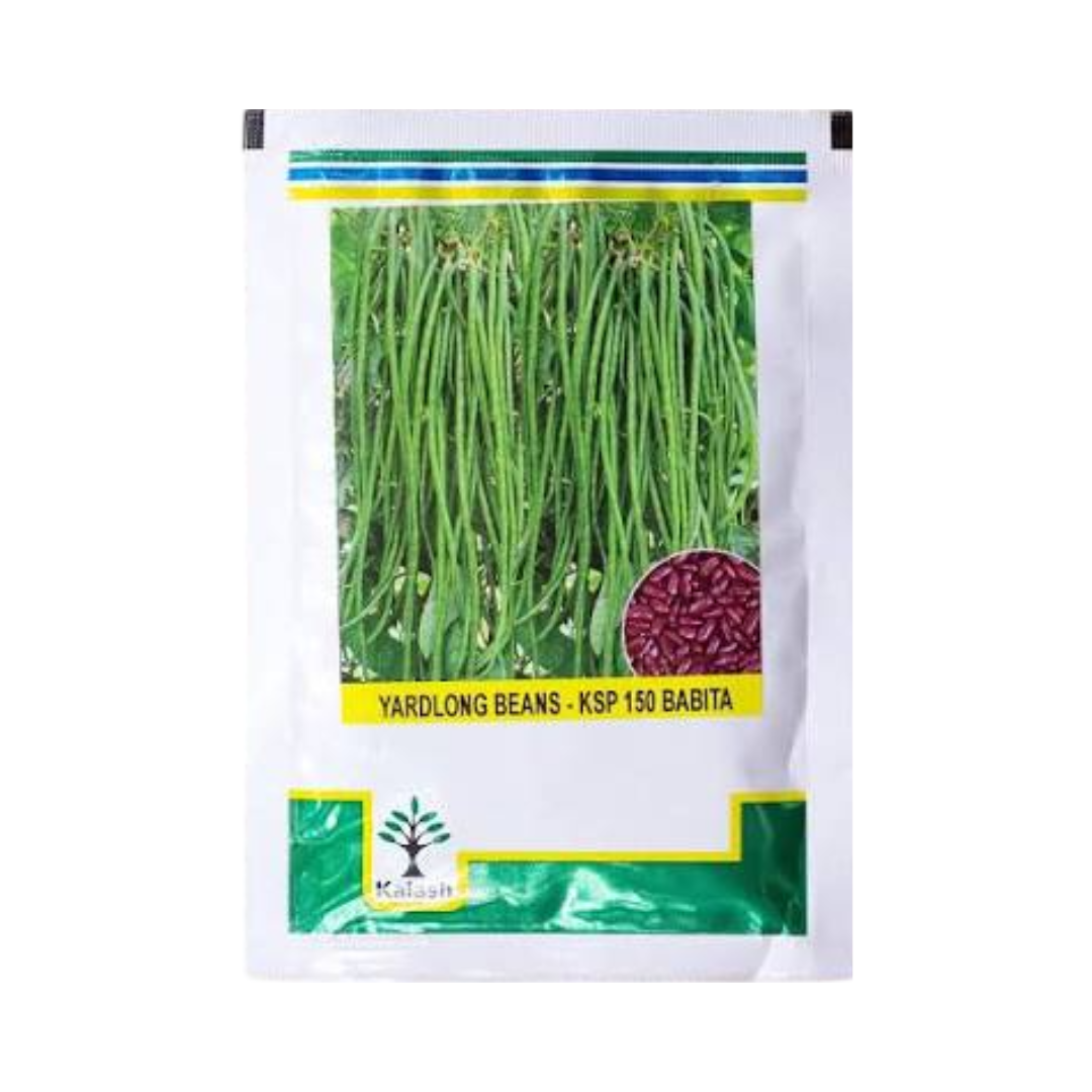 KSP 150 Babita Yard Long Beans Seeds | Buy Online at Best Price Now