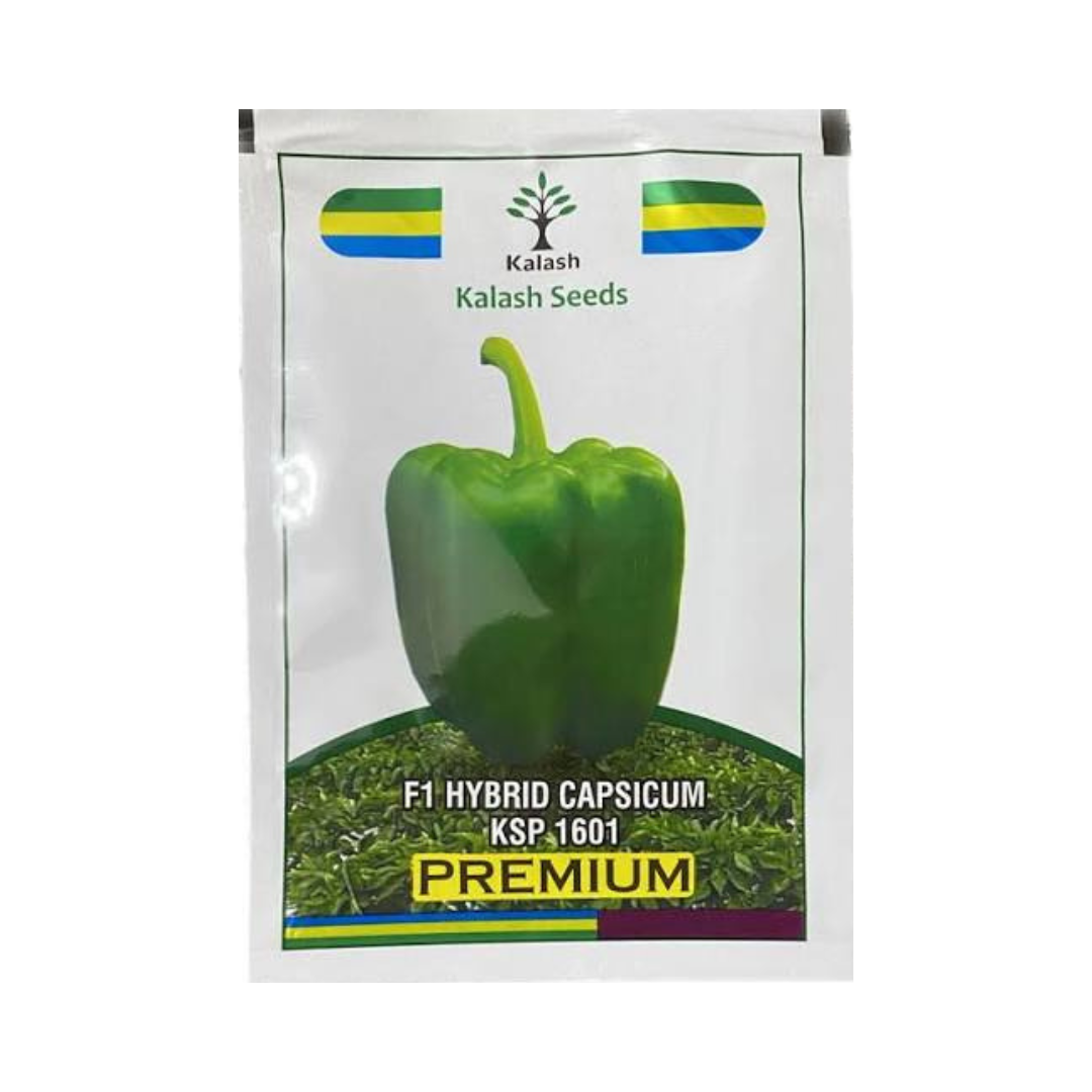 KSP 1601 Premium Capsicum - Kalash | F1 Hybrid | Buy Online at Best Price