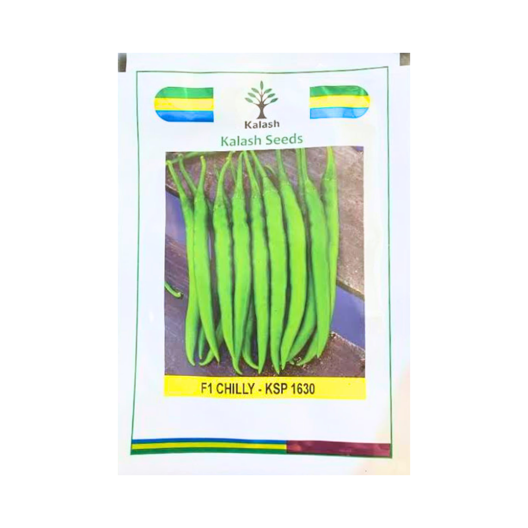 KSP 1630 Tathastu Chilli Seeds - Kalash | F1 Hybrid | Buy Online Now