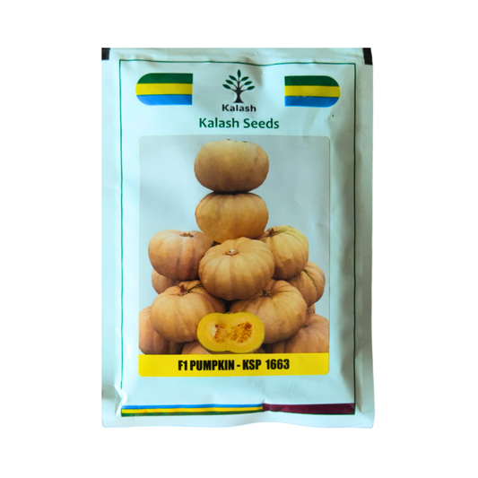 KSP 1663 Pumpkin Seeds - Kalash | F1 Hybrid | Buy Online at Best Price