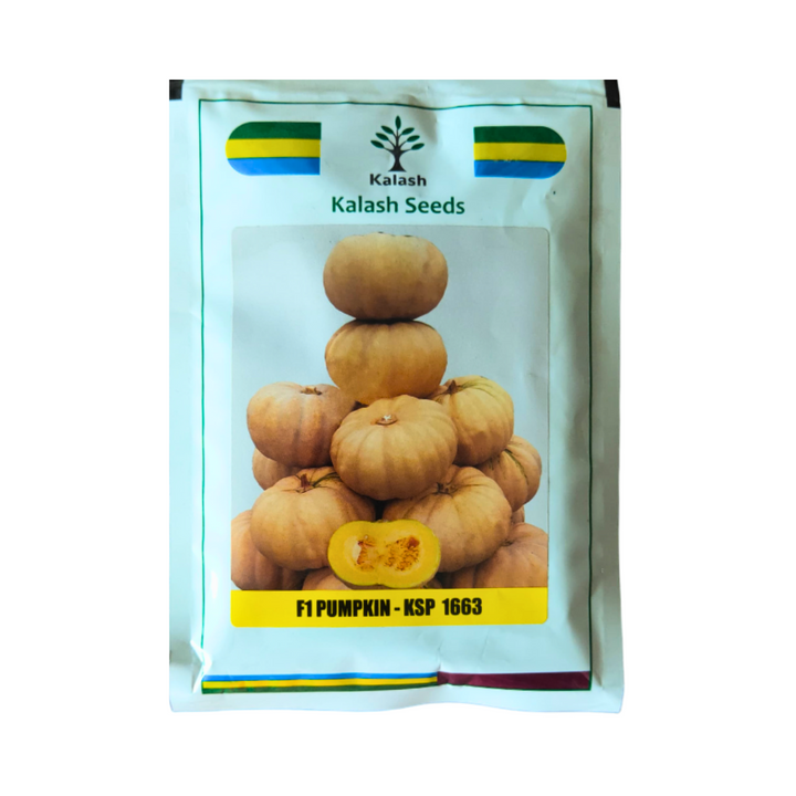 Kalash Pumpkin Seeds | Buy Online in India at Best Price – Desikheti