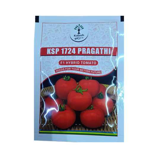 KSP 1724 Pragathi Tomato Seeds