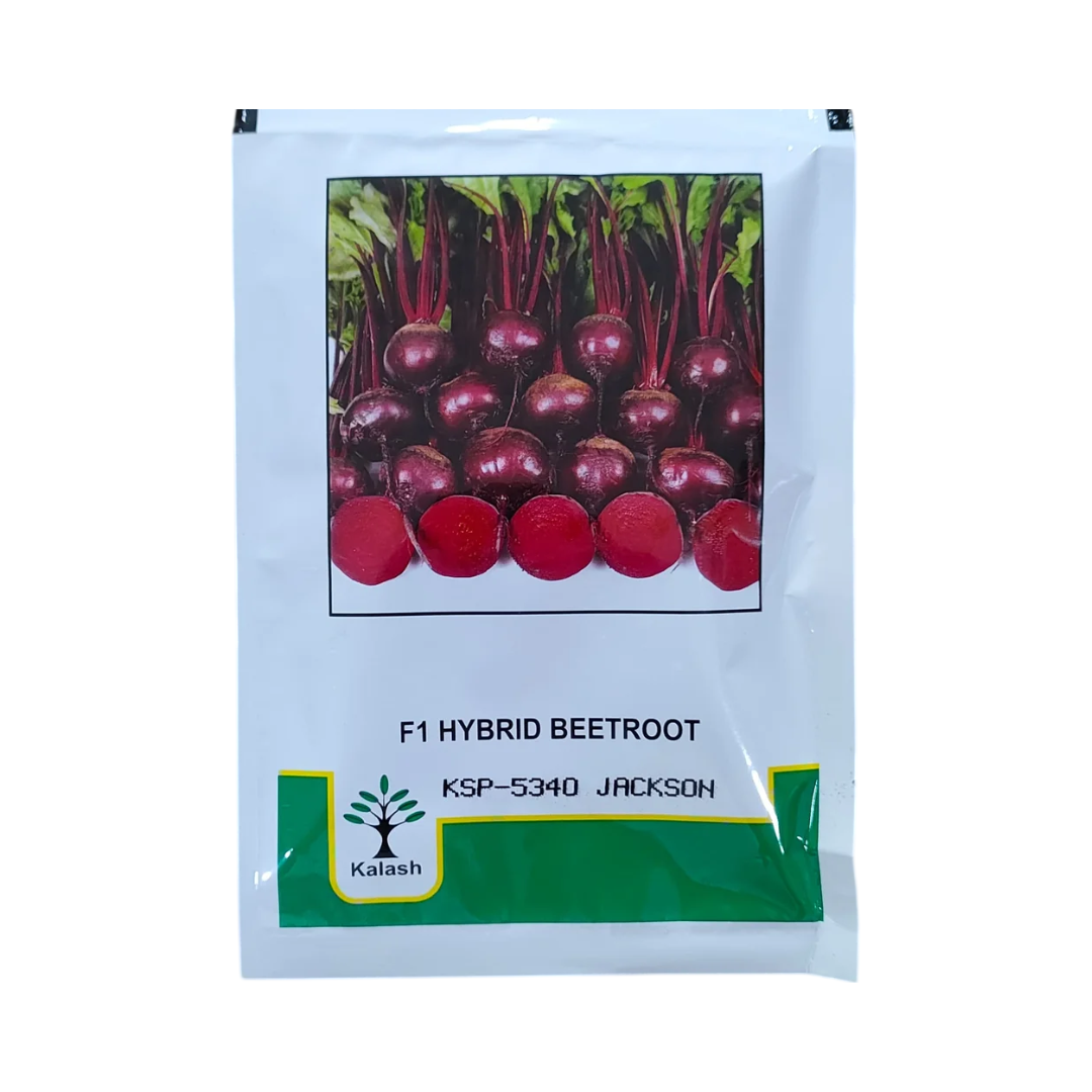 KSP 5340 Jackson Beetroot Seeds - Kalash | F1 Hybrid | Buy Online at Best Price