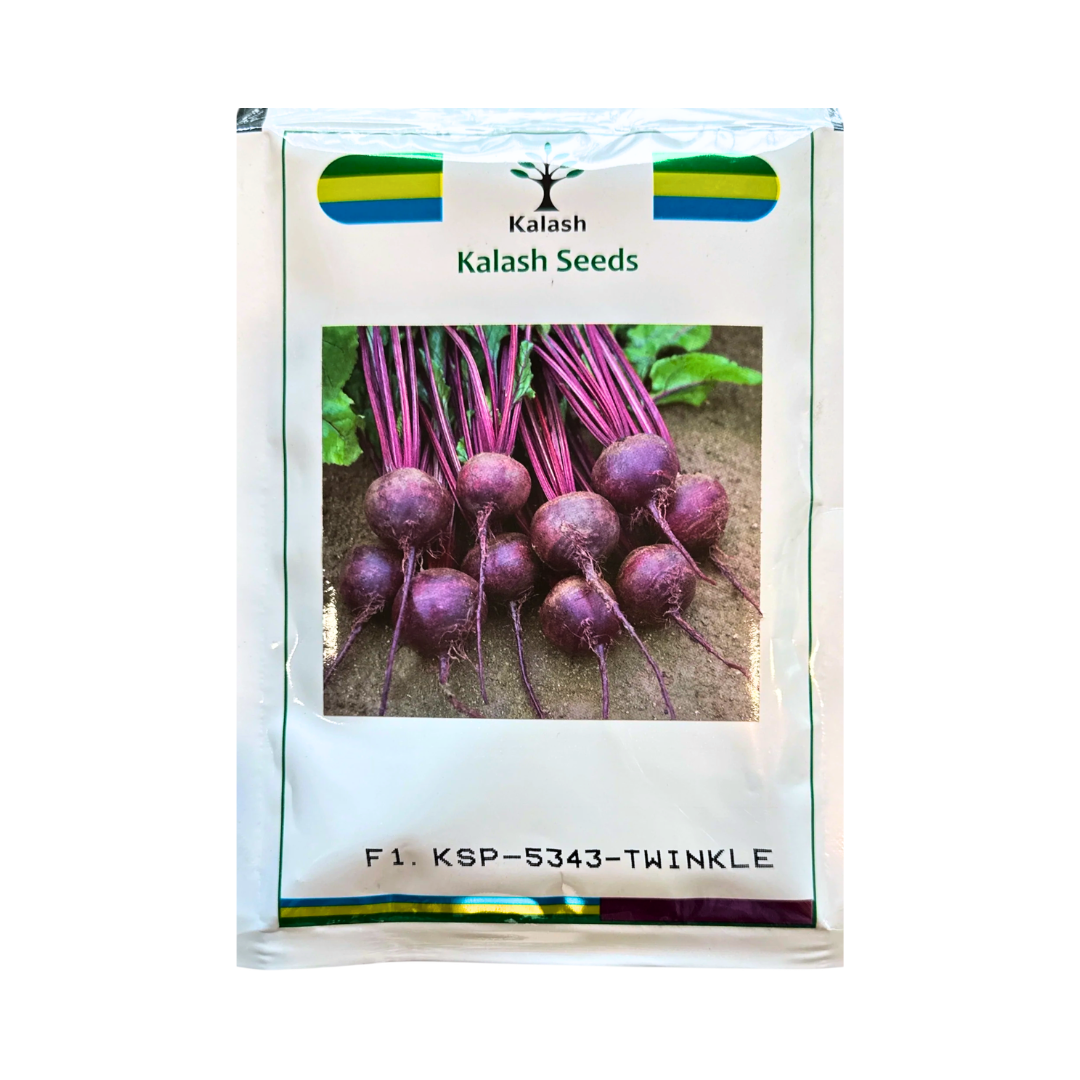 KSP 5343 Twinkle Beetroot Seeds - Kalash | F1 Hybrid | Buy Online at Best Price
